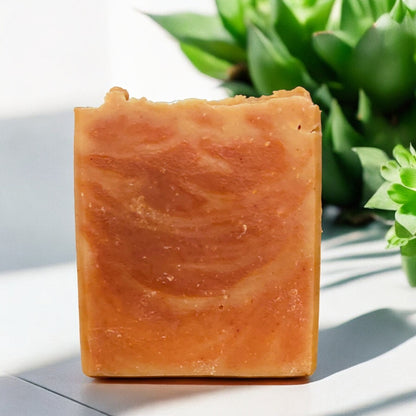 Bar of soap with a natural, textured surface on a light background with green plants.